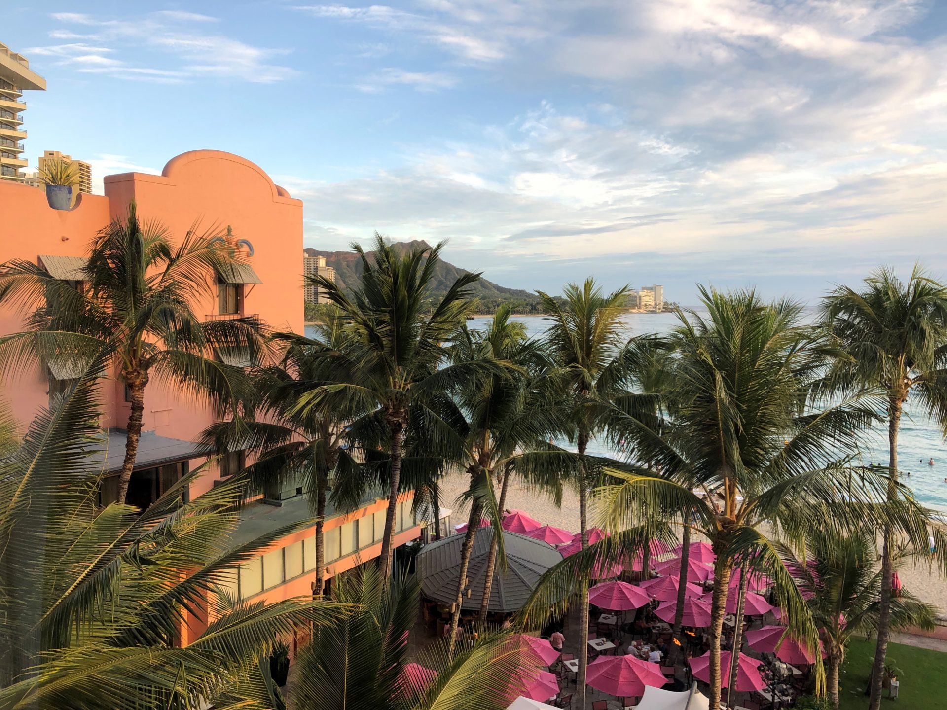 客室からの眺め